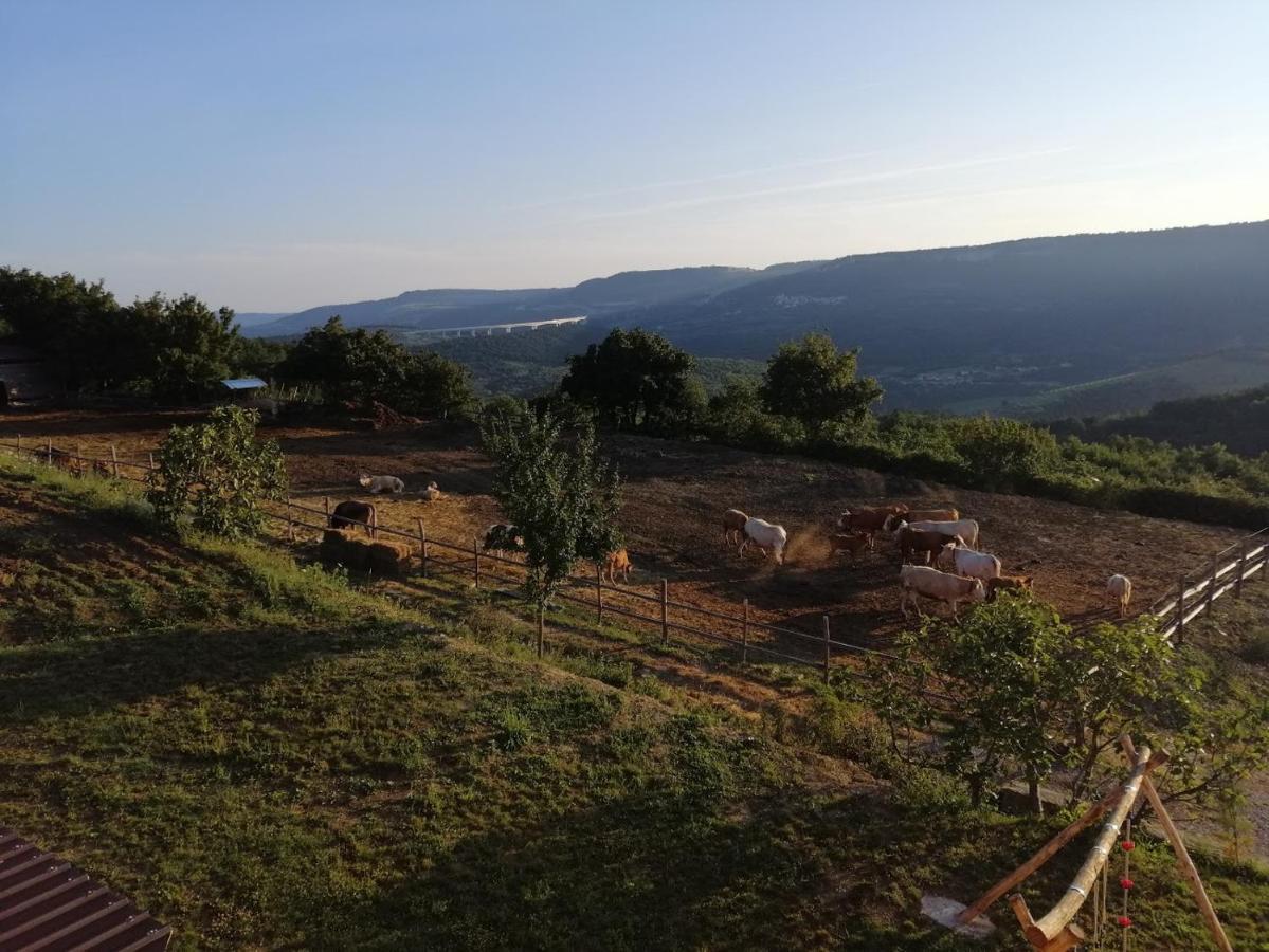 Camping Jakomin Κόπερ Εξωτερικό φωτογραφία